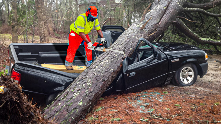 25 Disastrous Tree Falling Skills by Idiots With Big Chainsaw Tree-Falling Gone Wrong-Recovered