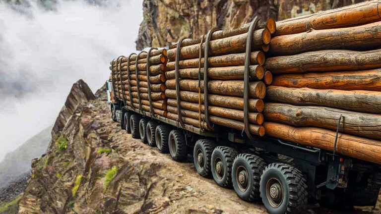 25 Unbelievable Maneuver & Skilled Heavy Equipment Truck Driver on Dangerous Road@1.25x