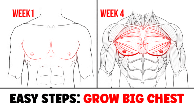 how to grow a big chest1