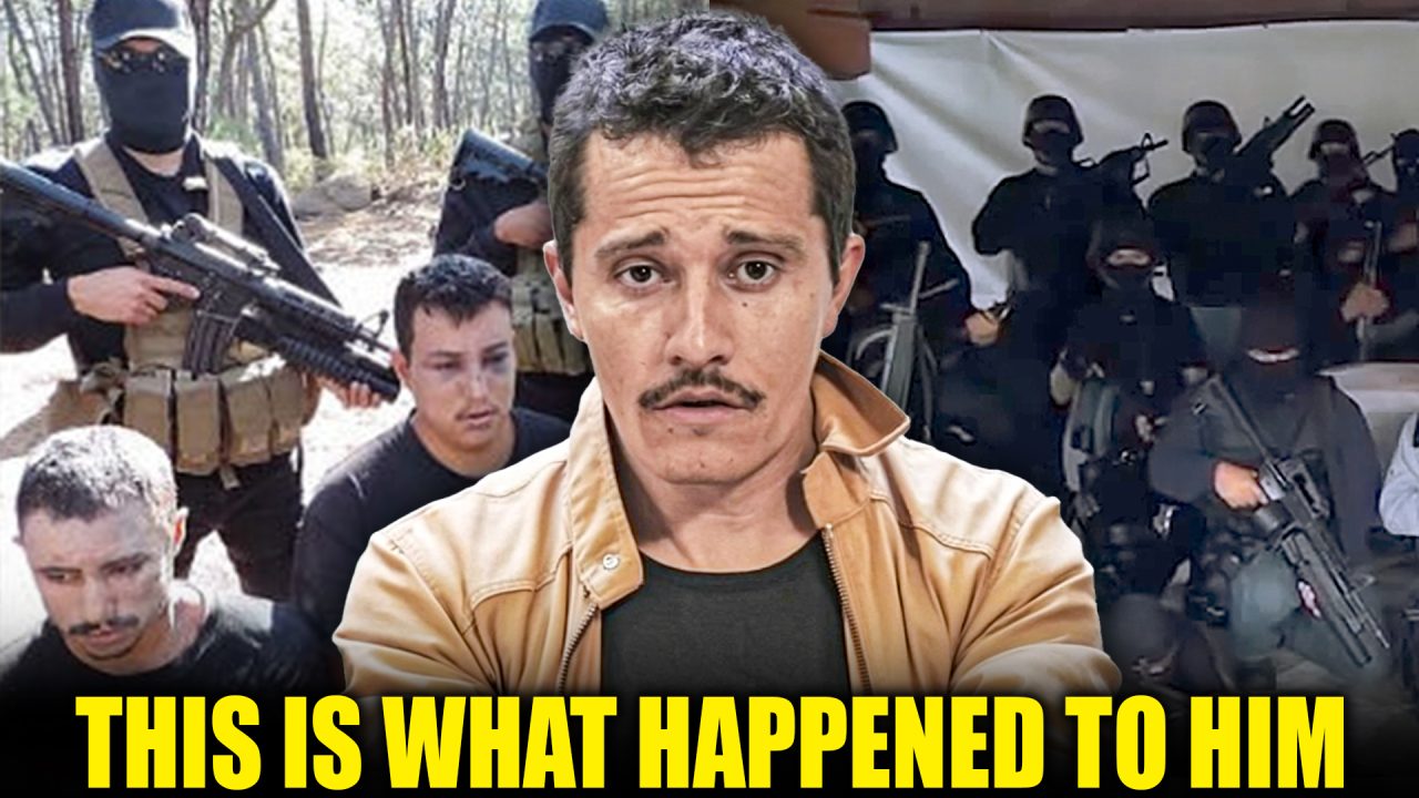 20 Times Cartels Regretted Crossing US Veterans Epic Takedowns You NEED to See